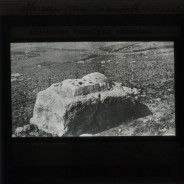 Böhl glass slide 61.1/1523b